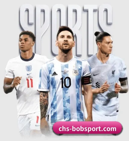 chs-bobsport.com的方向